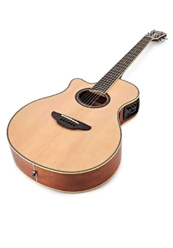 YAMAHA APX700Ⅱ エレアコ Amazon | ヤマハ YAMAHA エレアコギター 12弦 APX700II-12 NT